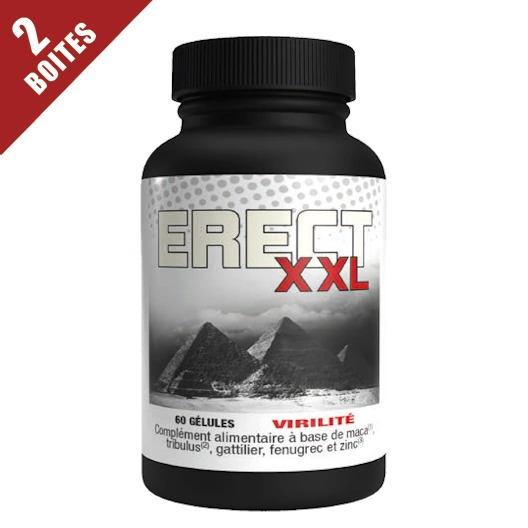 ErecXXL x2