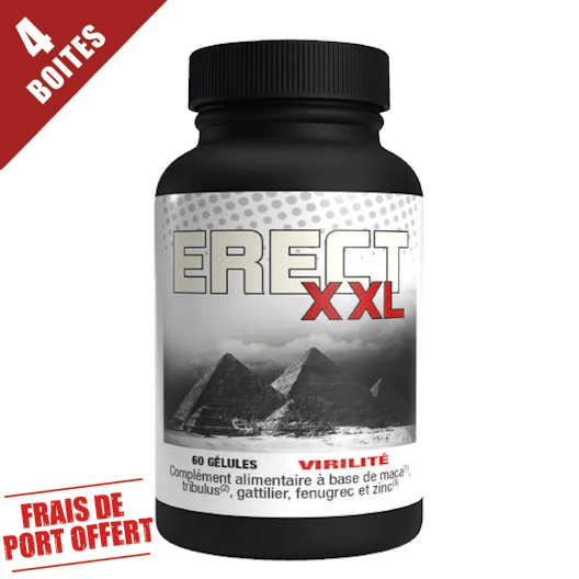 ErecXXL x4